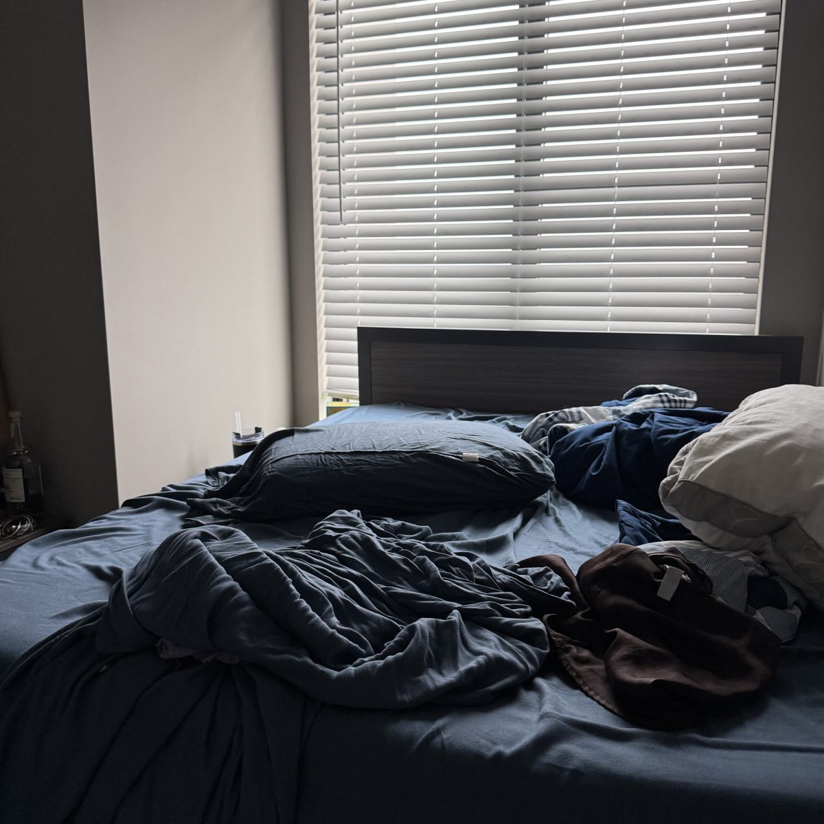 Strangers in Comforting Bodies: On the Desire to Be&nbsp;Known