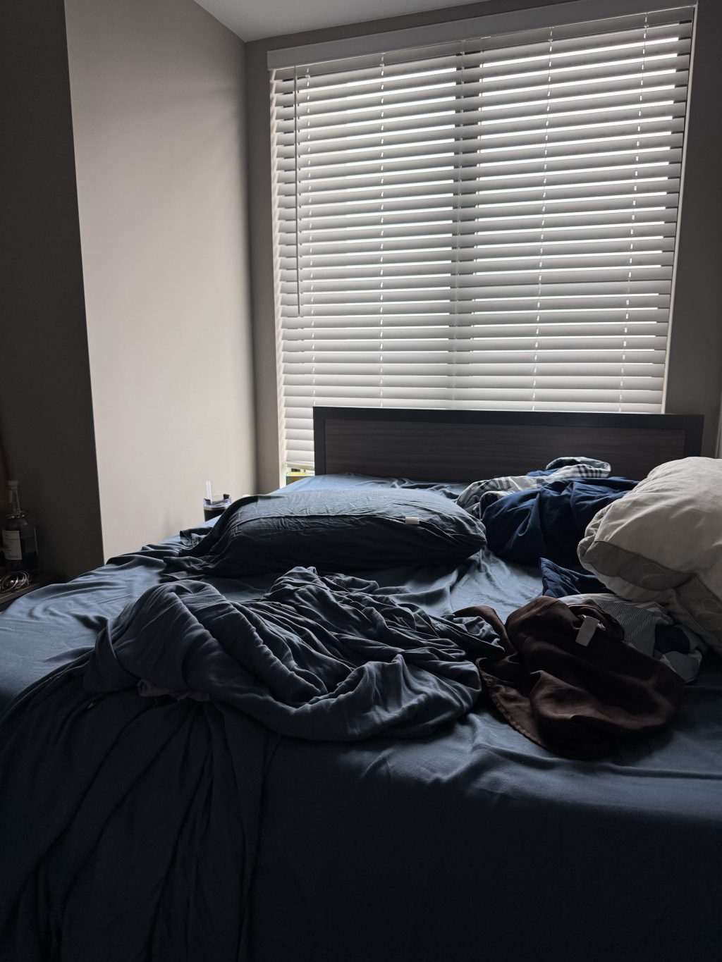Strangers in Comforting Bodies: On the Desire to Be&nbsp;Known